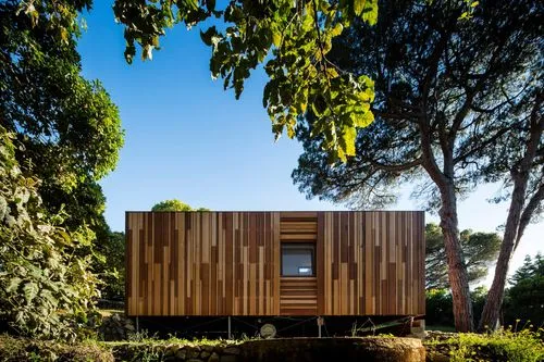 Treehouse SW T1